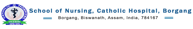 Catholic Hospital School of Nursing - Borgang